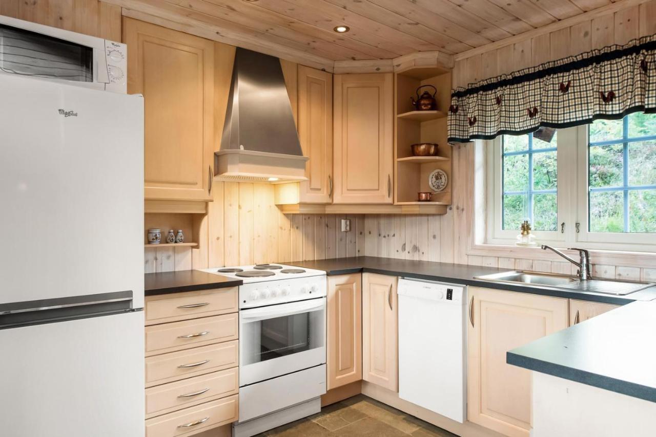 Reveenka - Cabin In Trysil With Jacuzzi For Rent Экстерьер фото