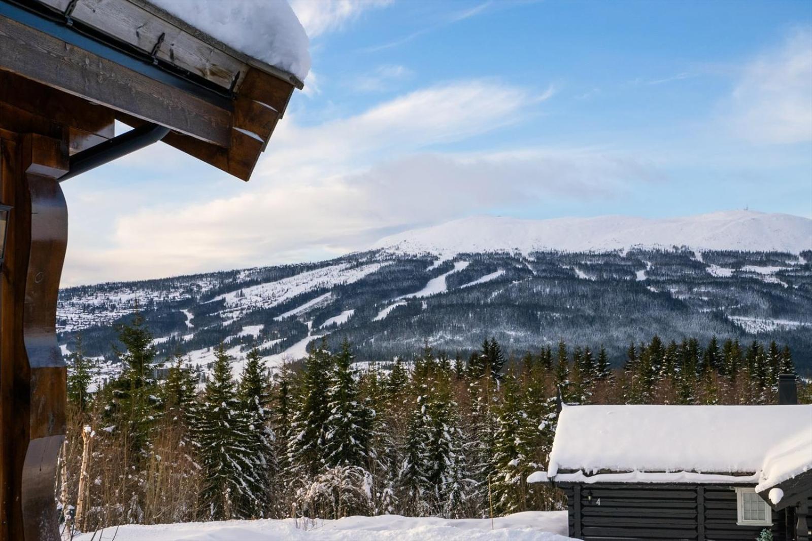 Reveenka - Cabin In Trysil With Jacuzzi For Rent Экстерьер фото